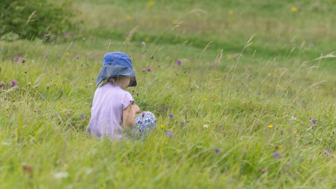 A girl sits in a wildflower meadow looking for butterflies